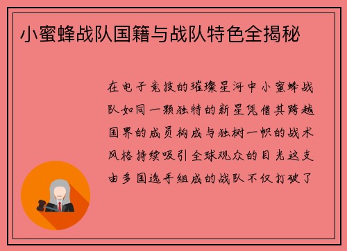 小蜜蜂战队国籍与战队特色全揭秘