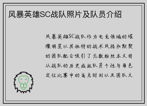风暴英雄SC战队照片及队员介绍